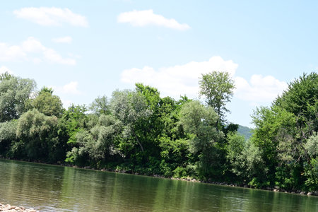 river landscape on a sunny summer day with green trees and blue skyの写真素材