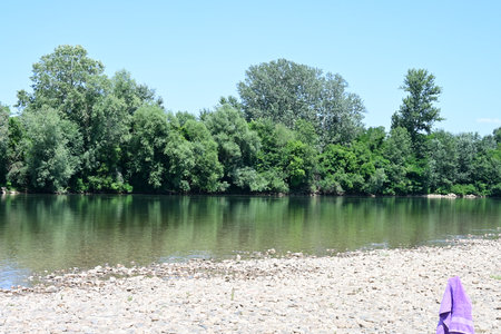 River landscape with trees and blue sky on sunny summer day, nature seriesの写真素材
