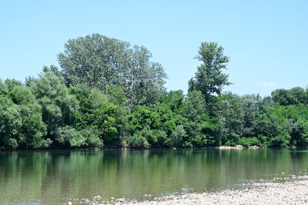 Beautiful landscape with the river and trees on the shore in summerの写真素材