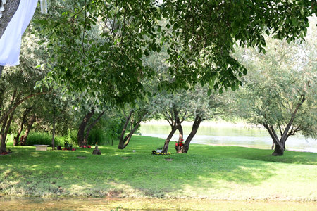 Trees by the river in a park in Beijing, China.の写真素材