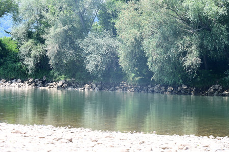 River landscape with trees and rocks in the water, natural background.の写真素材