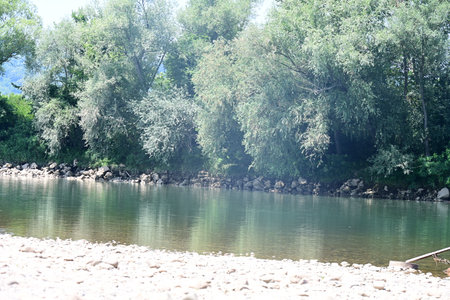 River landscape with trees on the shore and blue sky in the backgroundの写真素材
