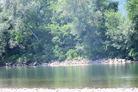 beautiful landscape of the river and trees on a sunny summer dayの写真素材