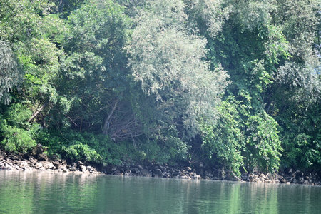 river and forest in thailand, beautiful photo digital picture, nature backgroundの写真素材