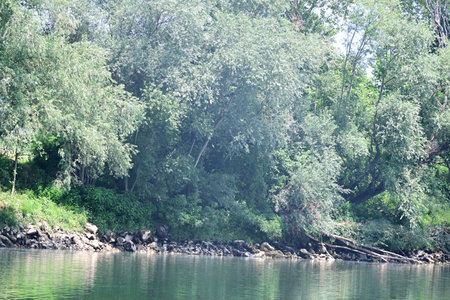 River and trees in the park on a summer day. Nature backgroundの写真素材