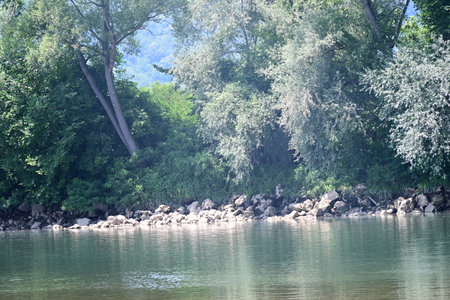 River landscape with green trees and rocks on a sunny summer day.の写真素材