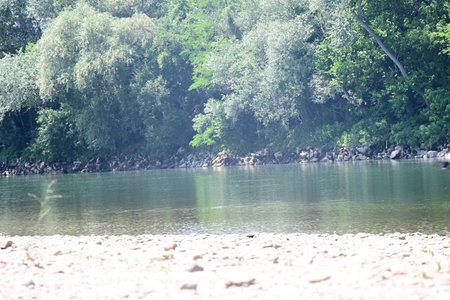 beautiful landscape with river and trees on a sunny summer day.の写真素材