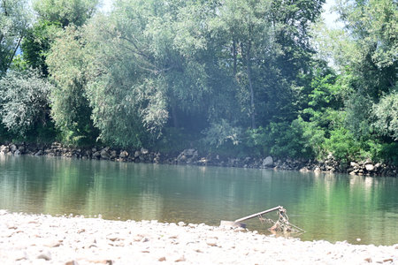 River in summer. Riverbank. River in summer. River in summerの写真素材