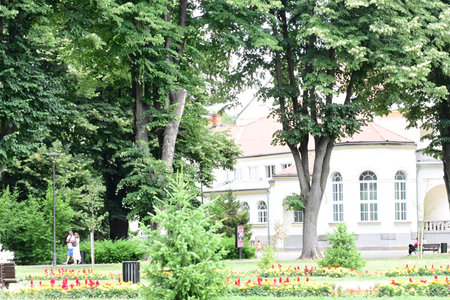 Park in the city of Vilnius in Lithuania in summer.の写真素材