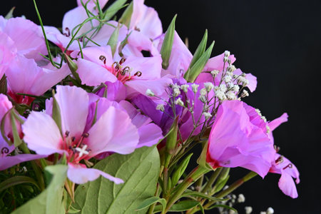 Bouquet of pink and purple flowers on a black background.の写真素材