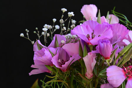 bouquet of pink and purple flowers on a black background.の写真素材