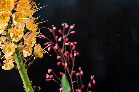 Bouquet of yellow flowers on a black background. Copy space.の写真素材