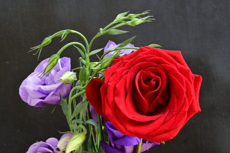 Beautiful bouquet of red roses and purple flowers on a black backgroundの写真素材