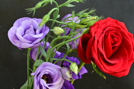Beautiful bouquet of eustoma and roses on black backgroundの写真素材