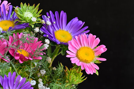 bouquet of colorful asters on black background, close up
