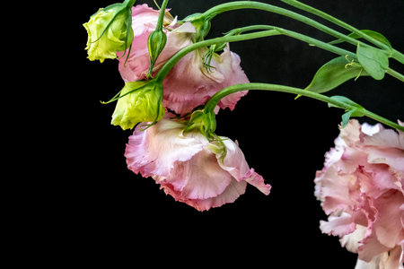 Bouquet of flowers on a black background.の写真素材