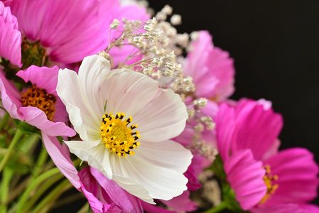 Bouquet of pink and white flowers on a black background.