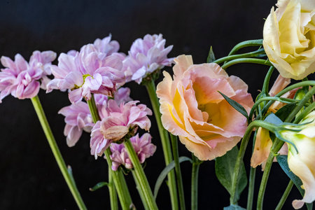 Bouquet of pink and yellow flowers on a black background.の写真素材