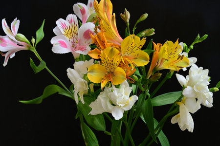 Bouquet of alstroemeria and lilies on black background