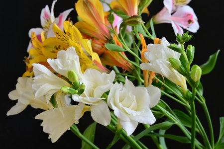 Bouquet of alstroemeria and lilies on black backgroundの写真素材