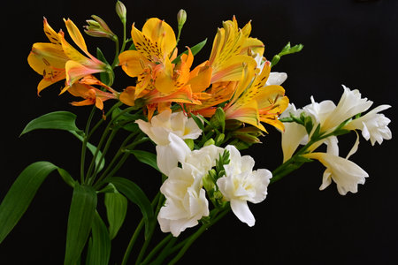 Bouquet of yellow and orange lilies on a black backgroundの写真素材