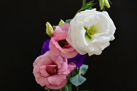 Beautiful bouquet of flowers on a black backgroundの写真素材