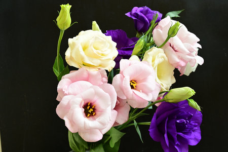 Beautiful bouquet of flowers on a black backgroundの写真素材