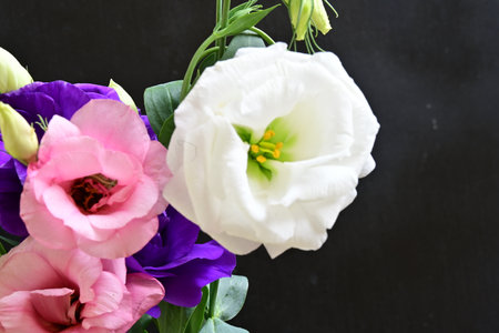 Beautiful bouquet of flowers on black background.の写真素材