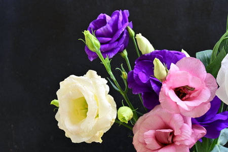 Beautiful bouquet of eustoma flowers on a black background