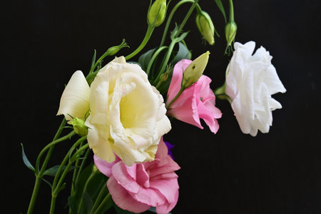 bouquet of pink and white flowers on black backgroundの写真素材