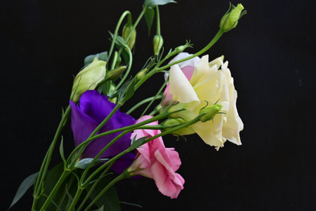 bouquet of flowers on black background close upの写真素材