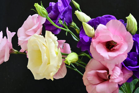 Beautiful bouquet of flowers on a black background