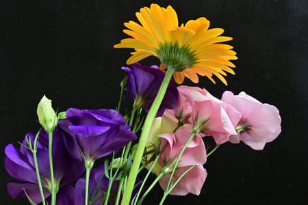 Beautiful bouquet of flowers on black background.の写真素材