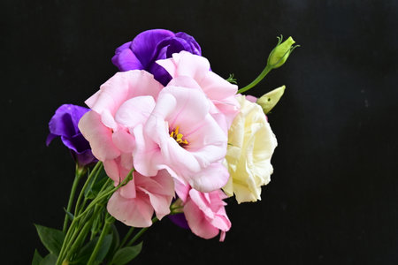 bouquet of flowers on a black background.の写真素材