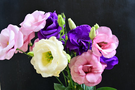 Bouquet of eustoma flowers on blackboard background.の写真素材