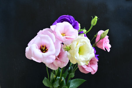 beautiful bouquet of flowers on a black backgroundの写真素材