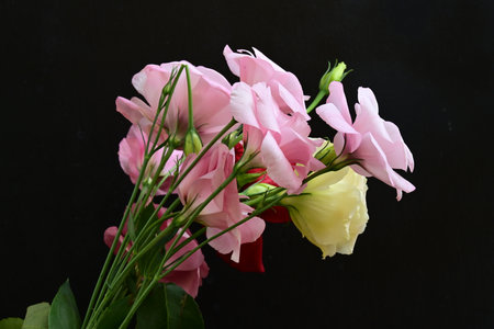 Bouquet of eustoma flowers on a black background.の写真素材