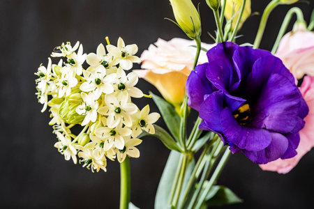 bouquet of eustoma and freesia on black backgroundの写真素材