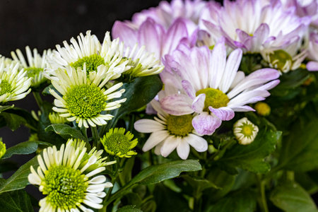 bouquet of white and purple flowersの写真素材