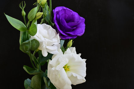 Beautiful bouquet of flowers on a black background
