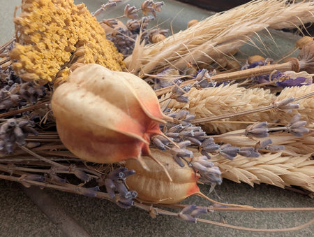 Spikelets of lavender and dried flowers on the table.の写真素材