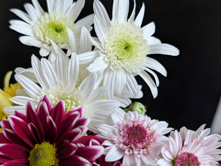 Bouquet of flowers on a black backgroundの写真素材