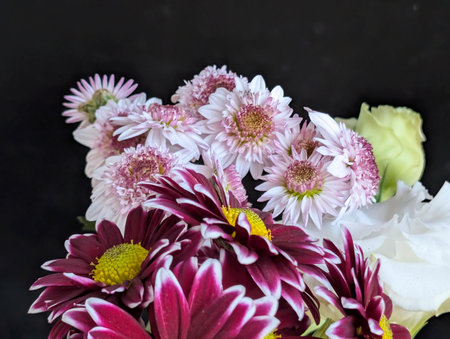 Bouquet of pink and white flowers on black backgroundの写真素材