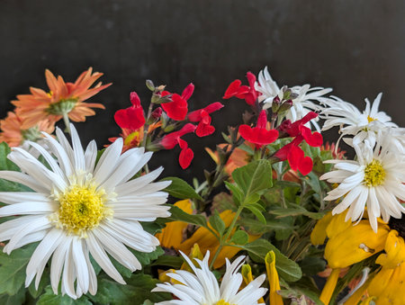 Colorful autumn bouquet of flowers on a black background with copy spaceの写真素材