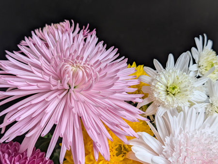 Bouquet of chrysanthemums on a black backgroundの写真素材