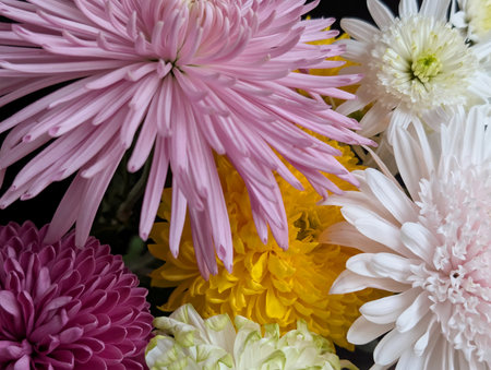 colorful chrysanthemum flower close up in a vaseの写真素材