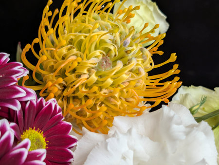Colorful flower bouquet on black background. Close up view.の写真素材