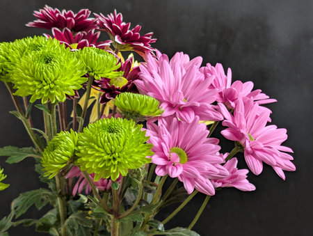 colorful flowers on a black background close upの写真素材