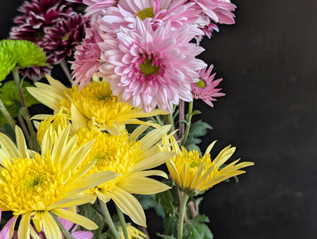 Chrysanthemum flowers in a vase on a black backgroundの写真素材