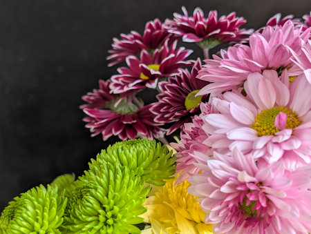 Colorful chrysanthemum flowers bouquet on black backgroundの写真素材